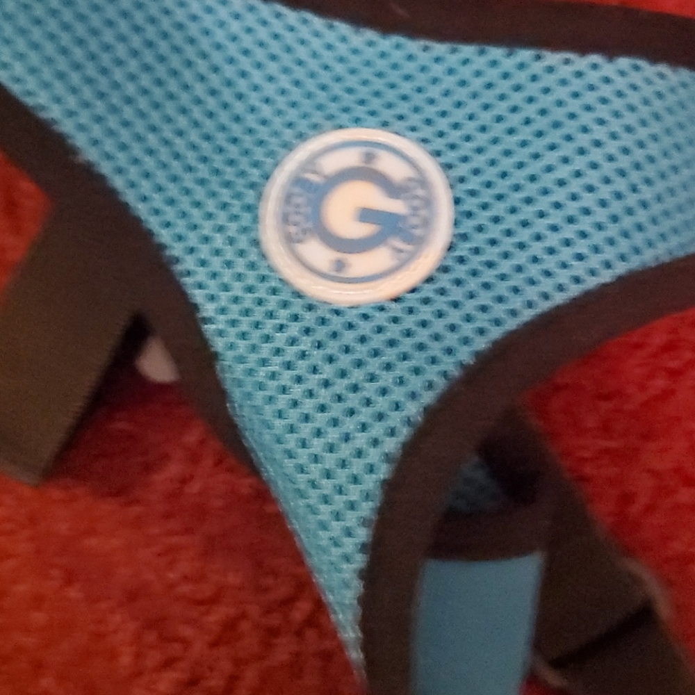 GOOBY TURQUOISE SMALL DOG HARNESSES - Picture 10 of 12